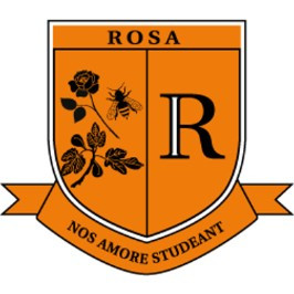 Rosa Sudsy 2025